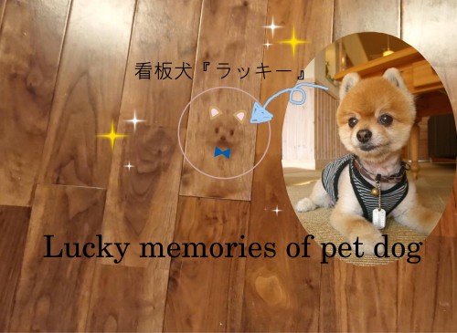 加工①(縮小）