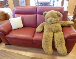 お店のどこかにｔａｍｏもいるよ