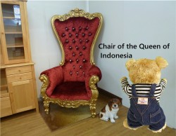 ディスプレイにもおすすめの椅子♪