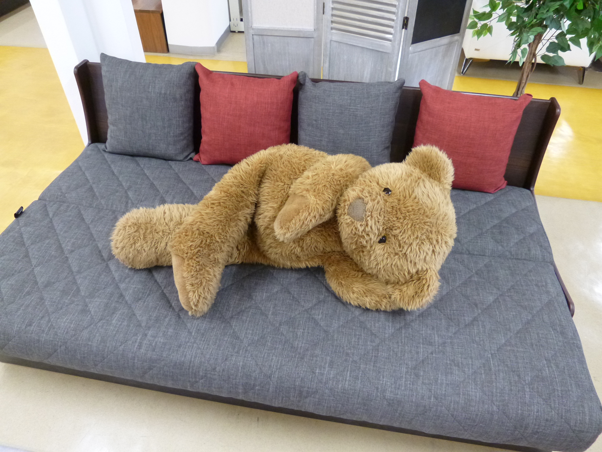 人気の『ごろ寝ソファ』でtamo🐻ごろ寝中！