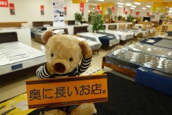 無垢材のダイニングセット